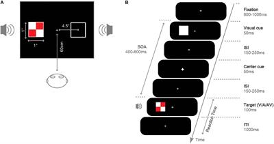 Inhibition of Return Decreases Early Audiovisual Integration: An Event-Related Potential Study